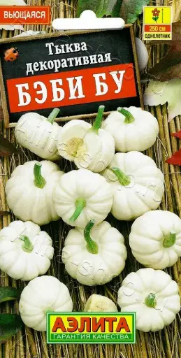 [260410057] Хулуу Тыква декоративная Бэби бу