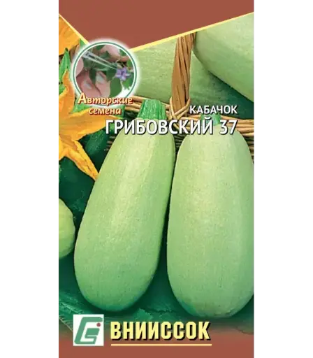 [260410062] Хулуу Кабачок Грибовский 37