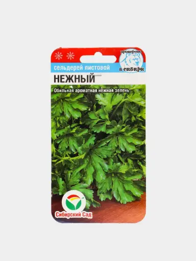 [260418006] Цоохор майлз - Сельдерей Нежный листовой