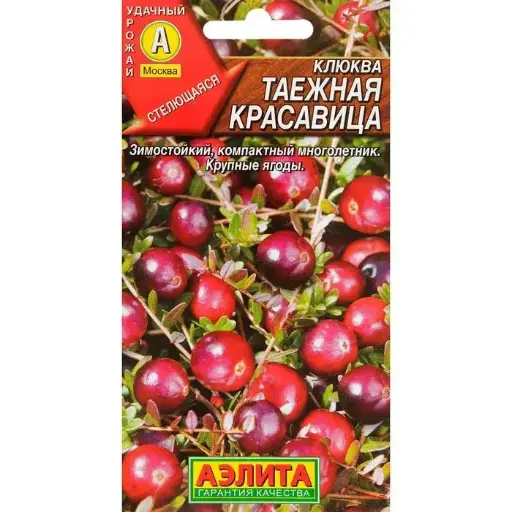 [260433019] Цангис Клюква крупноплодная Таежная красавица