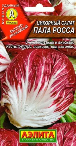 [260417024] Цикорный салат Пала Росса