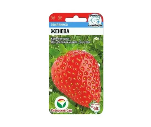 [260433024] Гүзээлзгэнэ - Земляника Женева