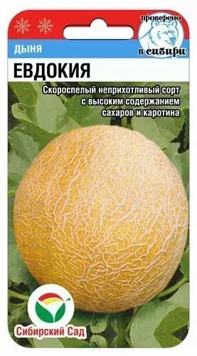 [260412020] Амтат гуа - Дыня Евдокия