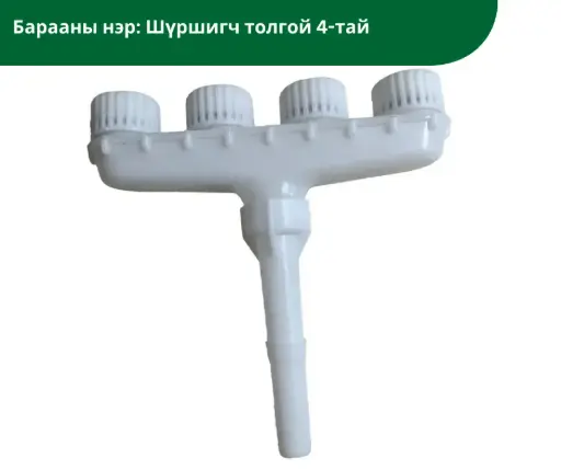 Шүршигч толгой 4-тай цагаан