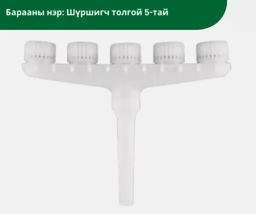 Шүршигч толгой 5-тай цагаан