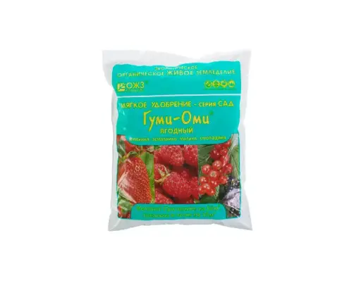 [120201039] Гуми-Оми Ойн жимс, Гүзээлзгэнэ