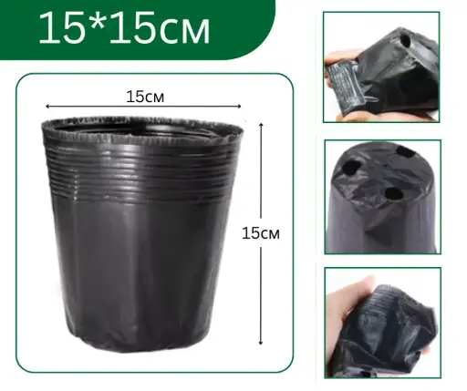 [2301017] Бортого 15*15