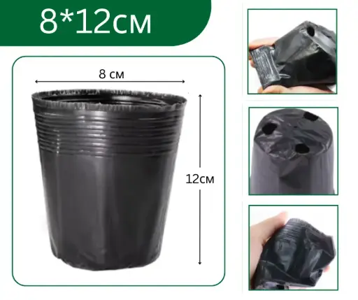 [2301033] Бортого 8*12