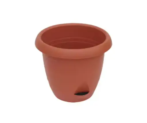 [2802020] Цэцгийн сав C102A00 - Бор