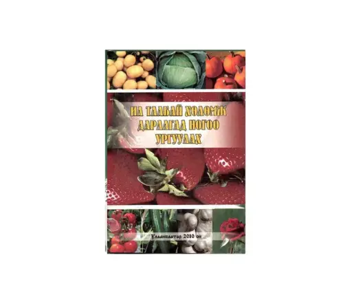 [19004] Ил талбай хүлэмж дарлагад ногоо ургуулах