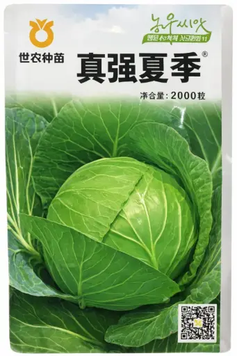 [260116031] Байцай - ShiNongZhongTian