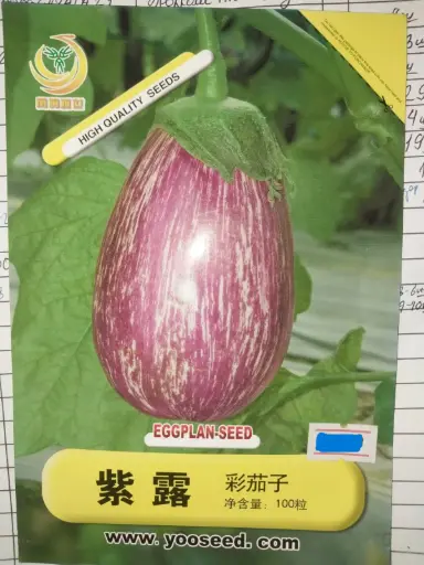 [2602059]  Хаш High Quality Seeds - Eggplan seed 