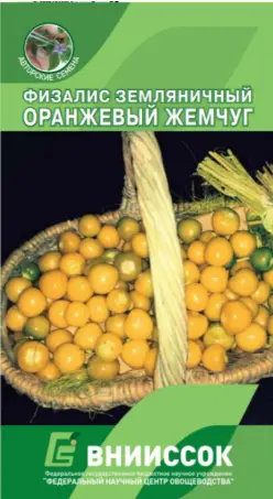 [260405061] Уутат лооль Физалис земляничный оранжевый жемчуг