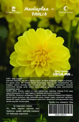 [29020103336] Мандарваа -  DAHLIA  Фигаро цуврал Шар сүүдэрт  /бүрэлтгүй/ 10ш савалгаатай