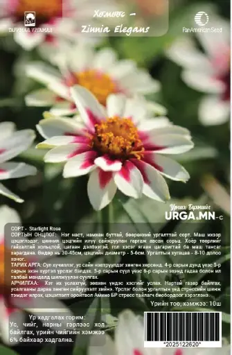 [29020103346] Хөмөөс -  Zinnia Elegans  Zahara цуврал Одны гэрэл туяа /бүрэлтгүй/