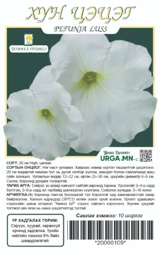 [29020103359] Хун цэцэг Петуния 20см high цагаан - Таримал Ургамал