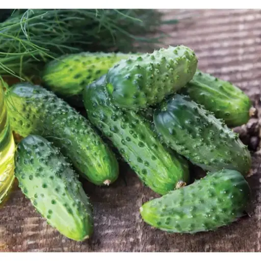 [260401026] Өргөст хэмх / Cucember Крак F1/ -Таримал Ургамал